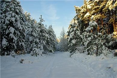 《生化危机2》发售25周年 官方发文感谢玩家
